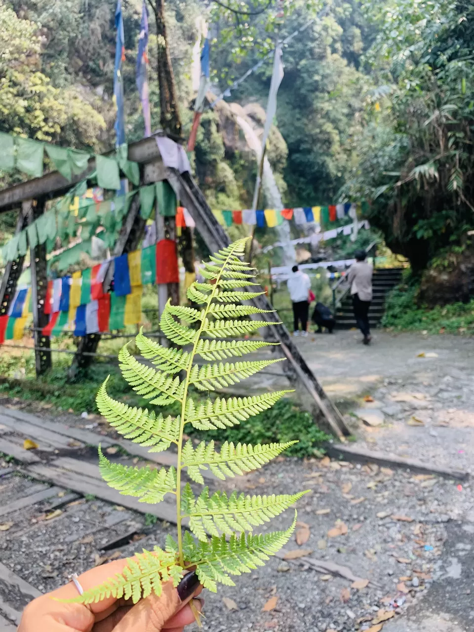Photo of Tsomgo Lake View Point, Road, Sikkim, India by #Thepoortraveller...