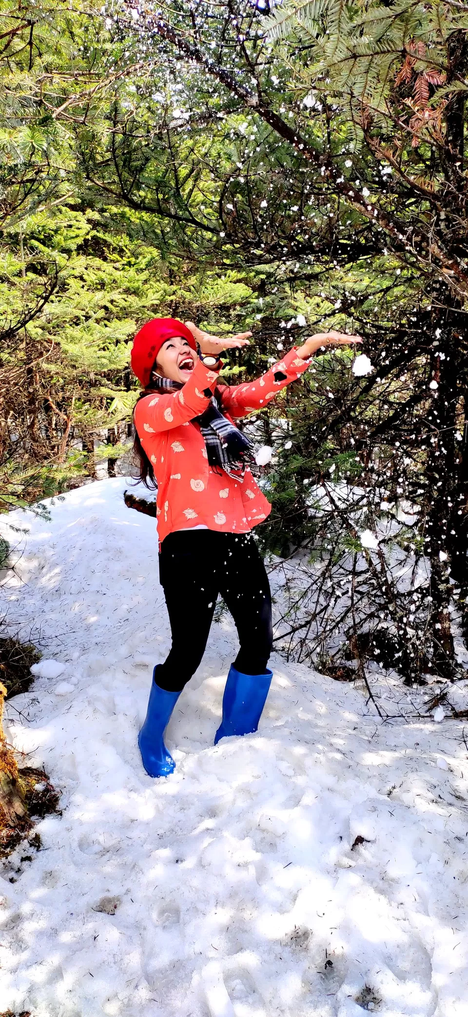 Photo of Yumthang Valley DarkDragon Road, Yumthang, Sikkim, India by #Thepoortraveller...