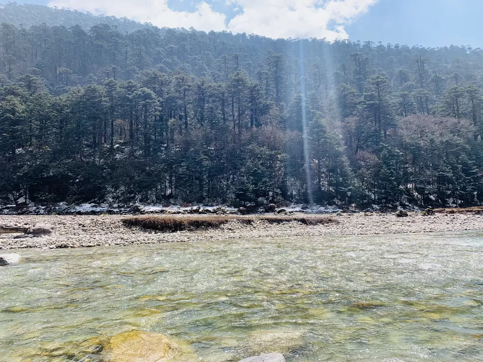 Photo of Yumthang Valley DarkDragon Road, Yumthang, Sikkim, India by #Thepoortraveller...