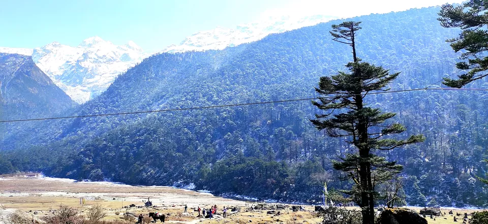 Photo of Yumthang hot springs, Yumthang, Sikkim, India by #Thepoortraveller...