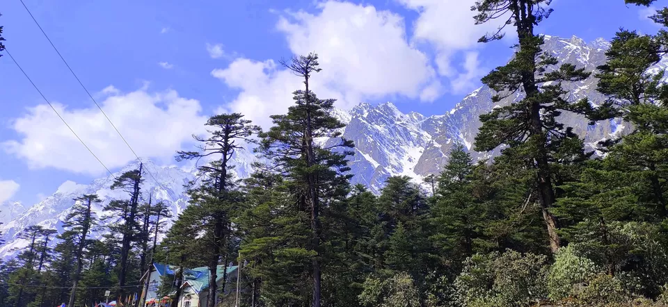 Photo of Yumthang, Sikkim, India by #Thepoortraveller...