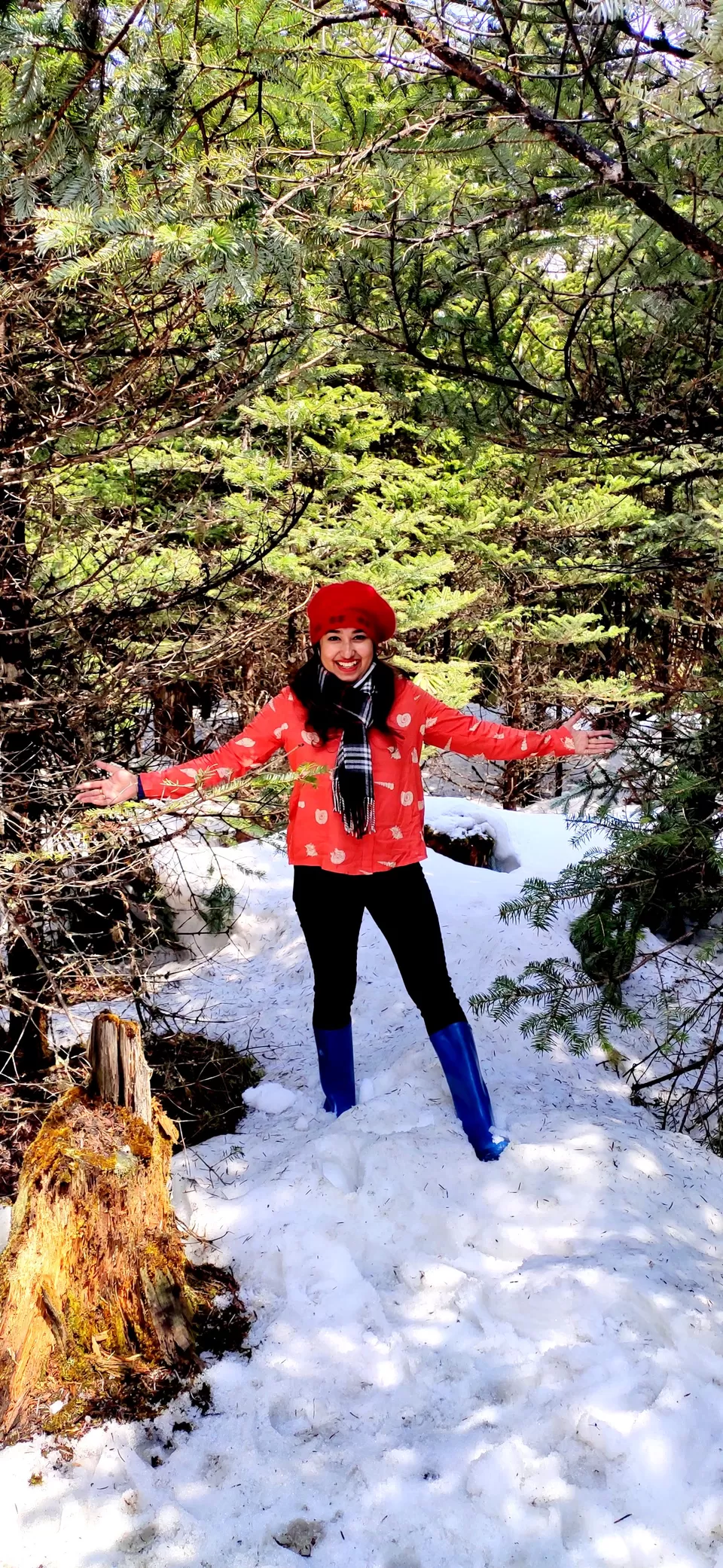 Photo of Yumthang Valley DarkDragon Road, Yumthang, Sikkim, India by #Thepoortraveller...