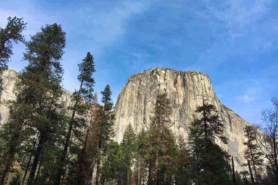 Photo of My Trip to California 8/8 by Valerie Williams