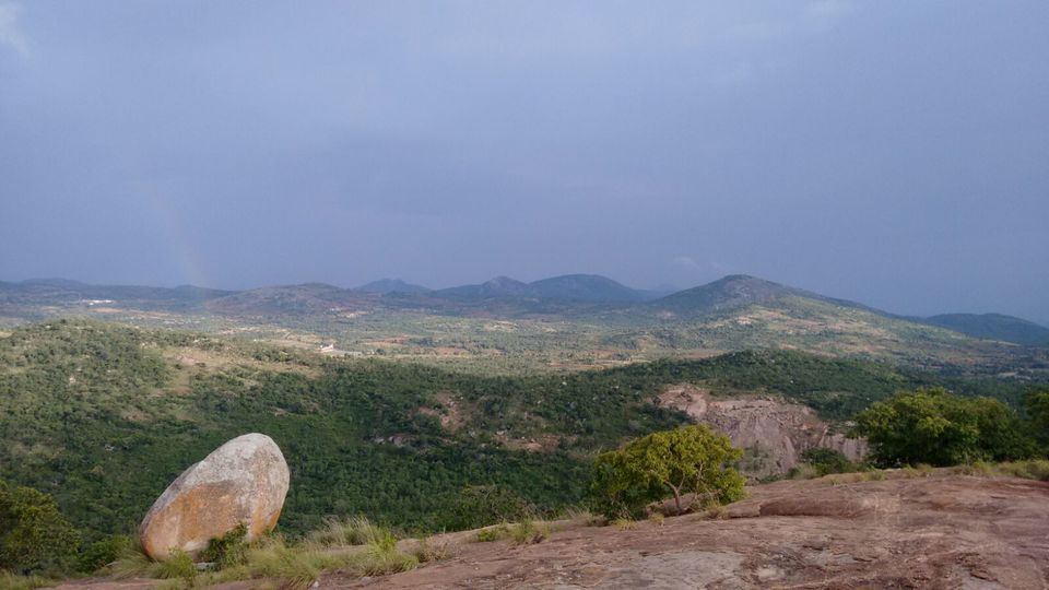 Photo of Avalbetta 5/17 by Aniesh Chawla