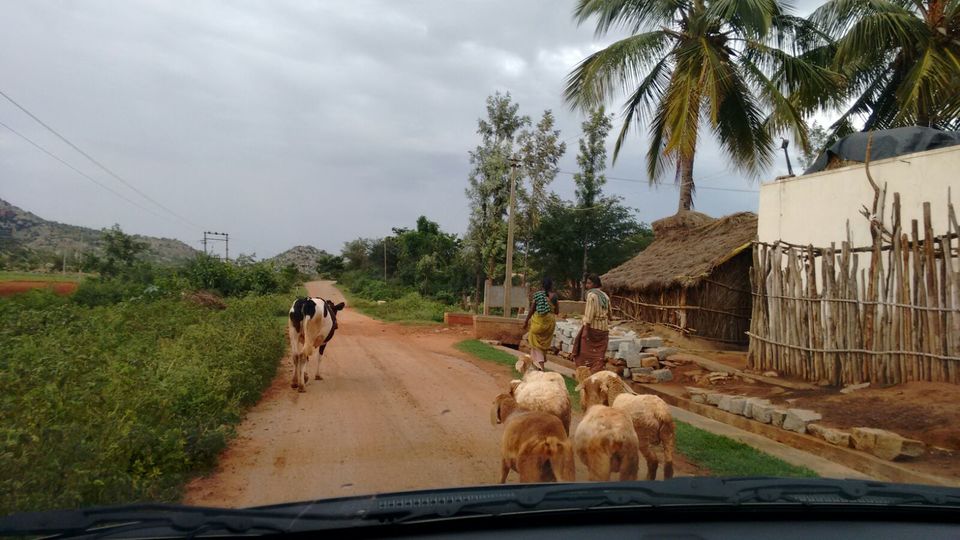 Photo of Avalbetta 9/17 by Aniesh Chawla