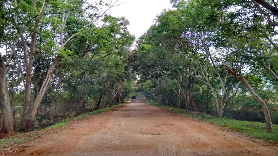 Photo of Avalbetta 11/17 by Aniesh Chawla