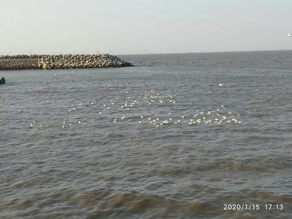 Photo of Juhu by Namrata Jaiswal