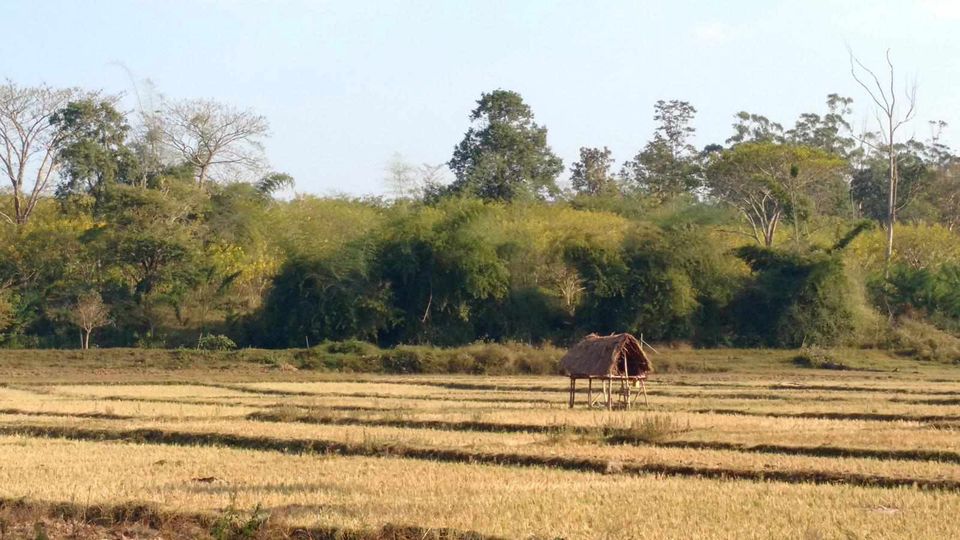 Photo of Bandipur, Karnataka, India by Chandana Pitta
