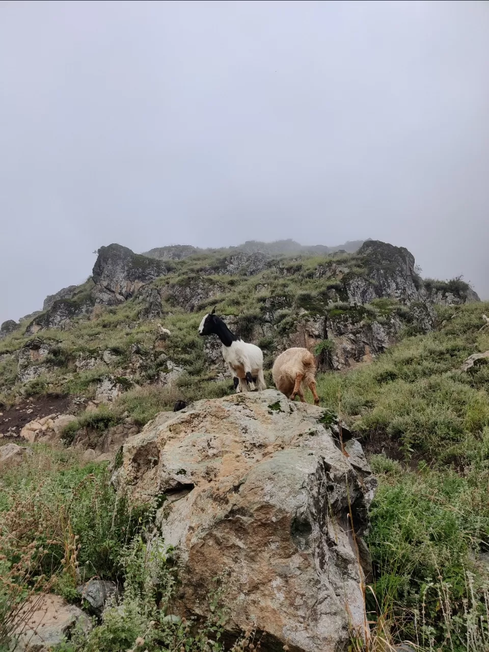 Photo of Badimarg by Abrar Shah