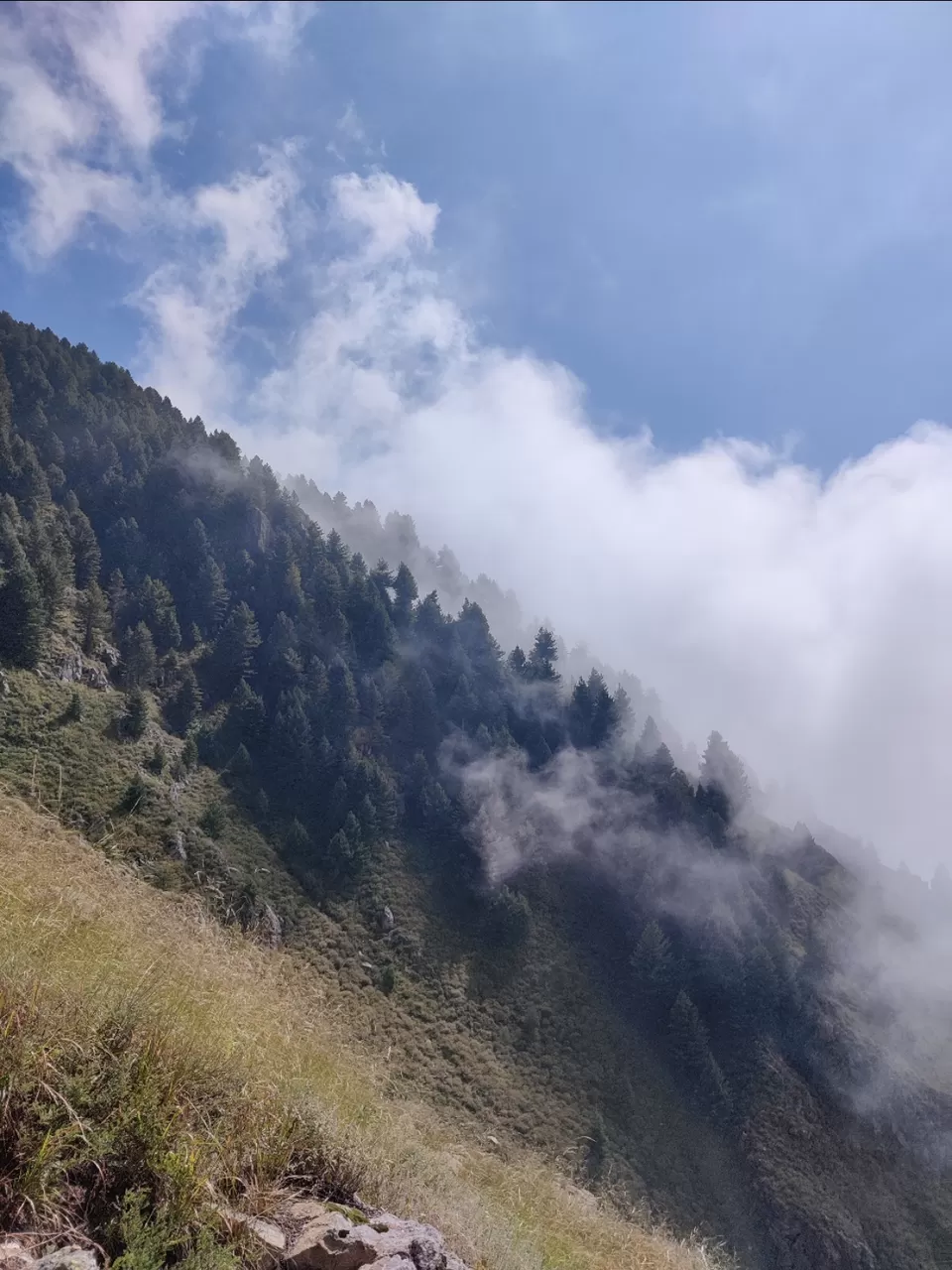 Photo of Sunday Trek With Friends In Srinagar! by Abrar Shah