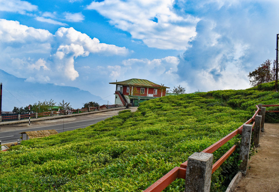 Photo of Most Scenic Tea Estate of India by Neha Mourya