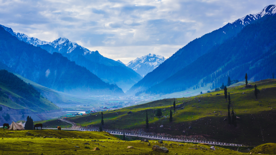 Photo of Enchantress of Kashmir 1/1 by Gaurav sharma