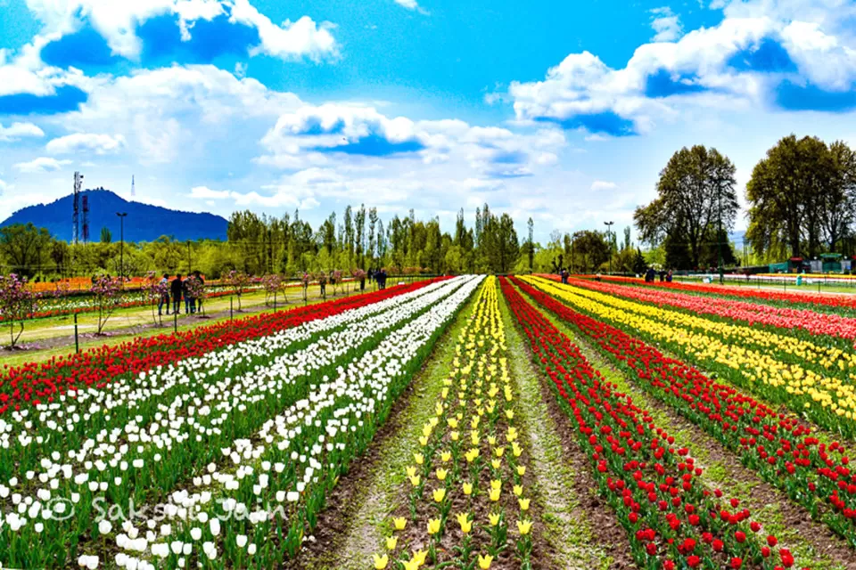 Photo of Srinagar by Gaurav sharma