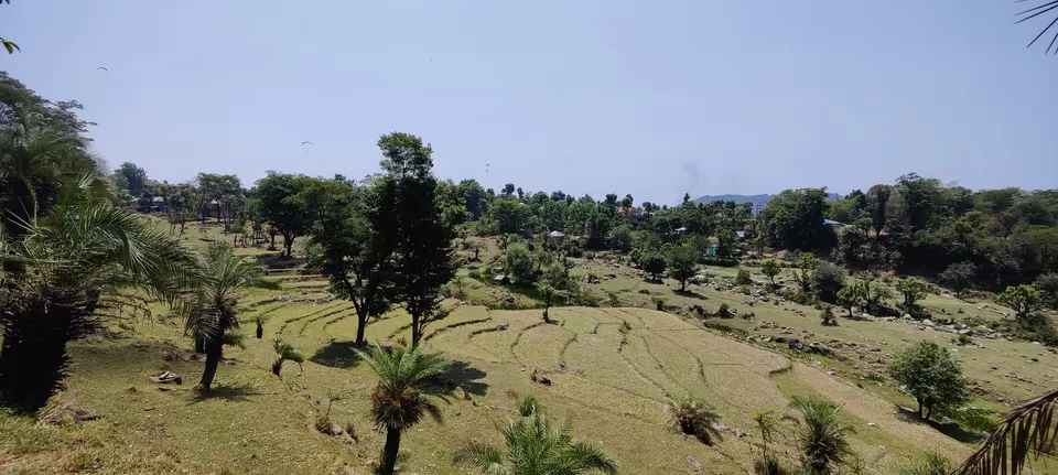 Photo of Paul Tea Estate by Himani Singla