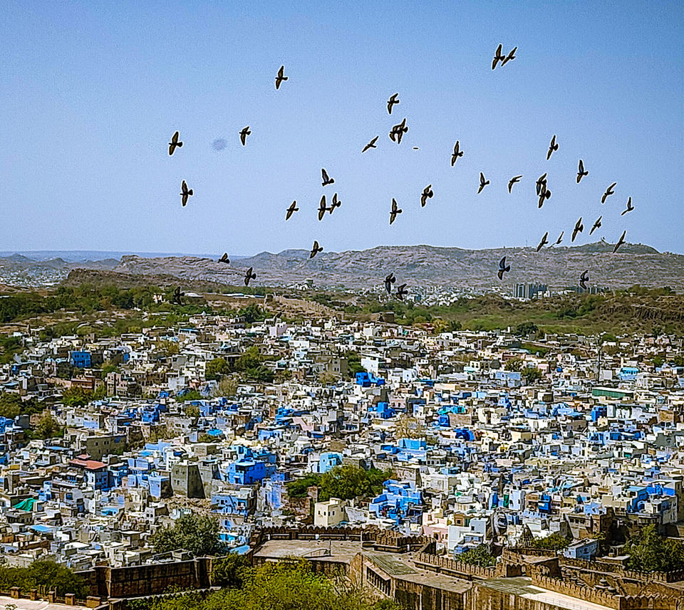 Photo of The ultimate Guide to Jodhpur: The Blue City of India by Himani Singla