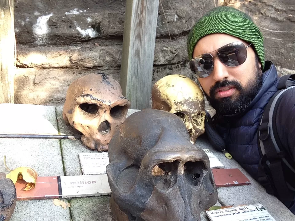 Photo of Bronx Zoo, Southern Boulevard, Bronx, NY, United States by Rohit Manchanda