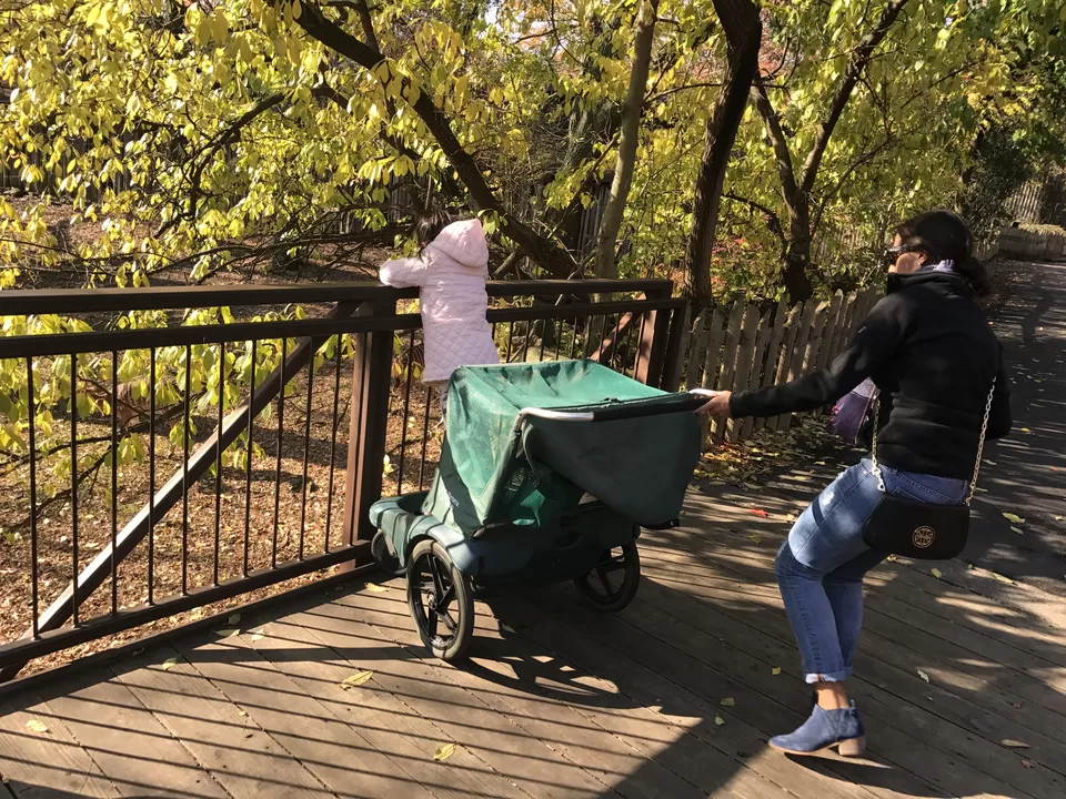 Photo of Bronx, NY, United States by Rohit Manchanda