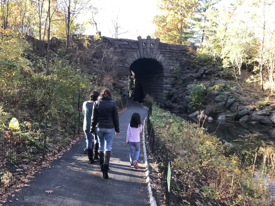 Photo of Central Park, New York, NY, United States by Rohit Manchanda