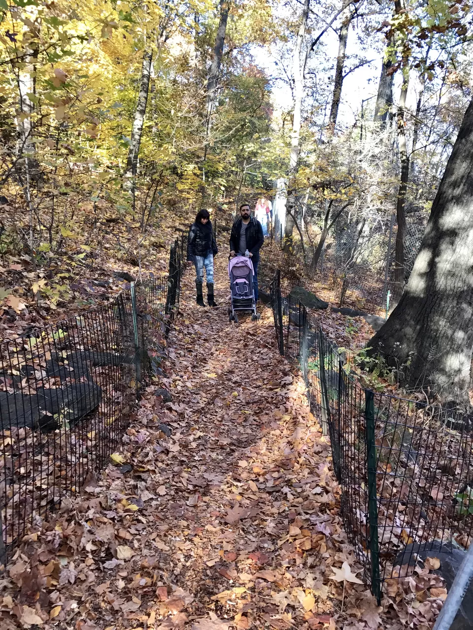 Photo of Central Park, New York, NY, United States by Rohit Manchanda