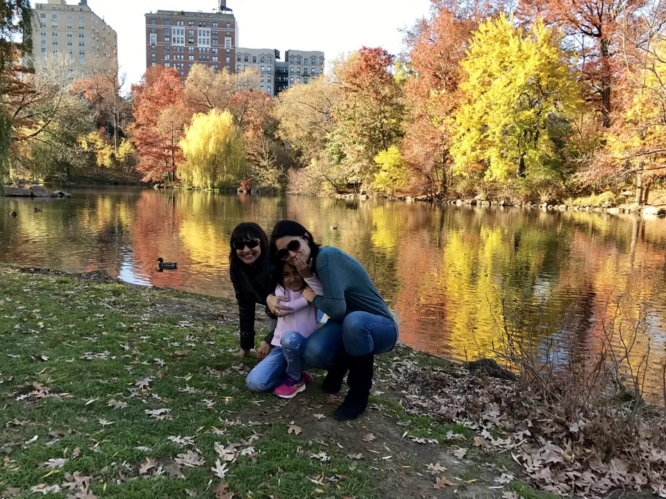 Photo of Central Park, New York, NY, United States by Rohit Manchanda