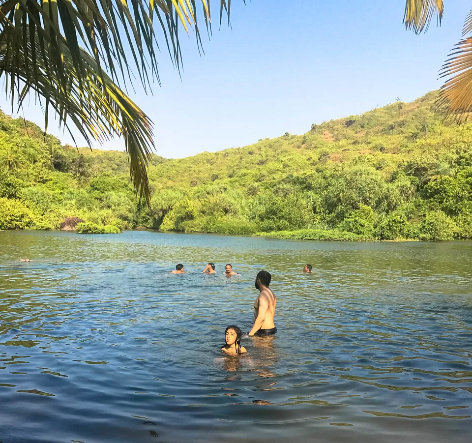 Photo of Arambol Sweet Water Lake, Paliyem, Goa, India by Rohit Manchanda