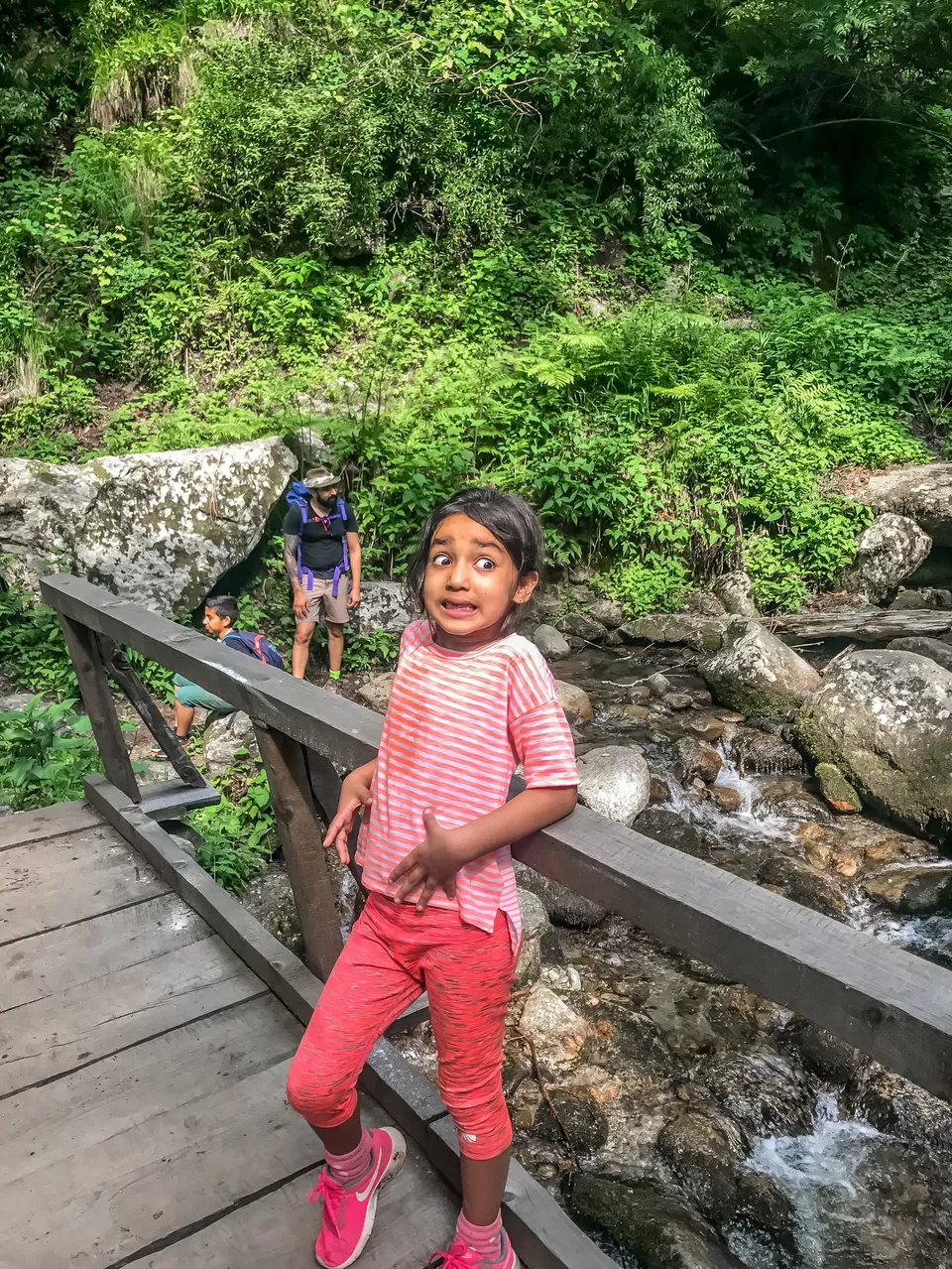 Photo of Great Himalayan National Park Forest Complex, Pekhri, Himachal Pradesh, India by Rohit Manchanda