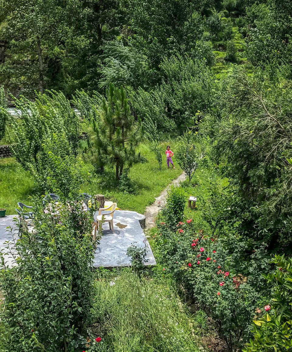 Photo of Trekking with my 6 Year Old in Great Himalayan National Park by Rohit Manchanda