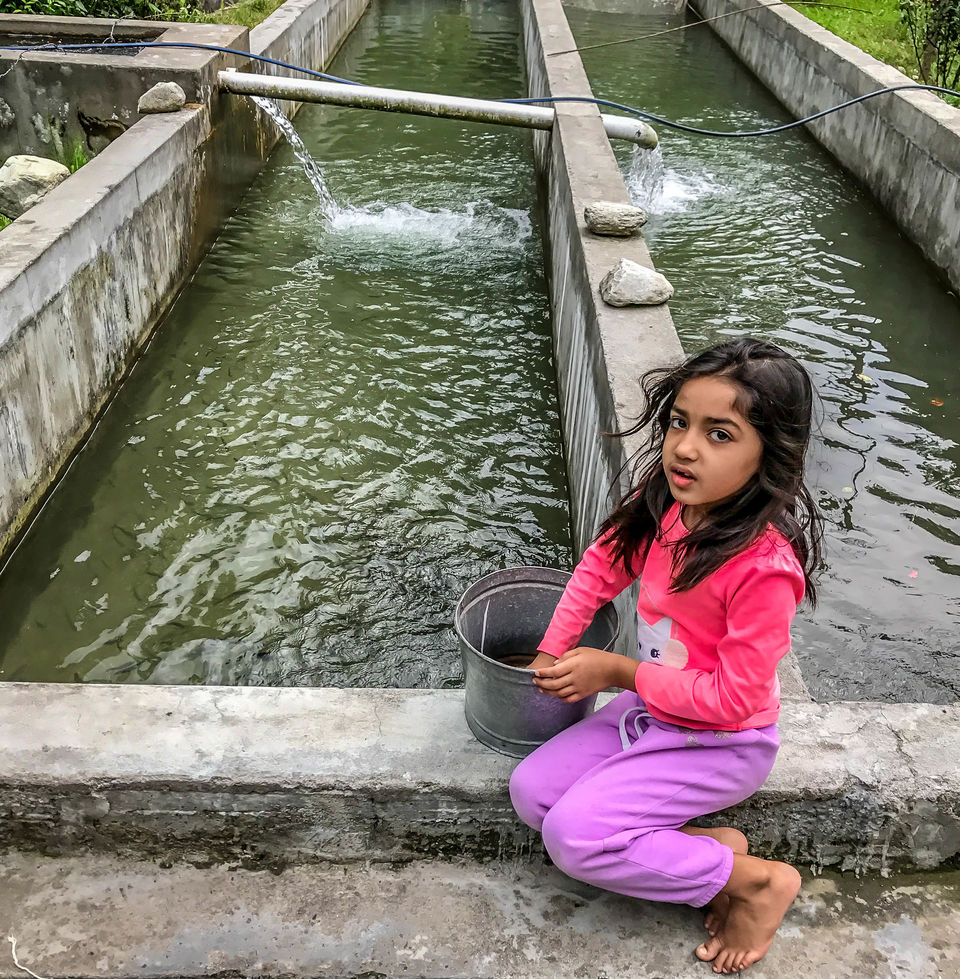 Photo of Trekking with my 6 Year Old in Great Himalayan National Park by Rohit Manchanda
