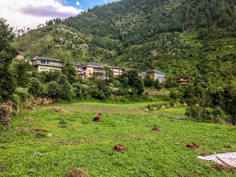 Photo of Trekking with my 6 Year Old in Great Himalayan National Park by Rohit Manchanda