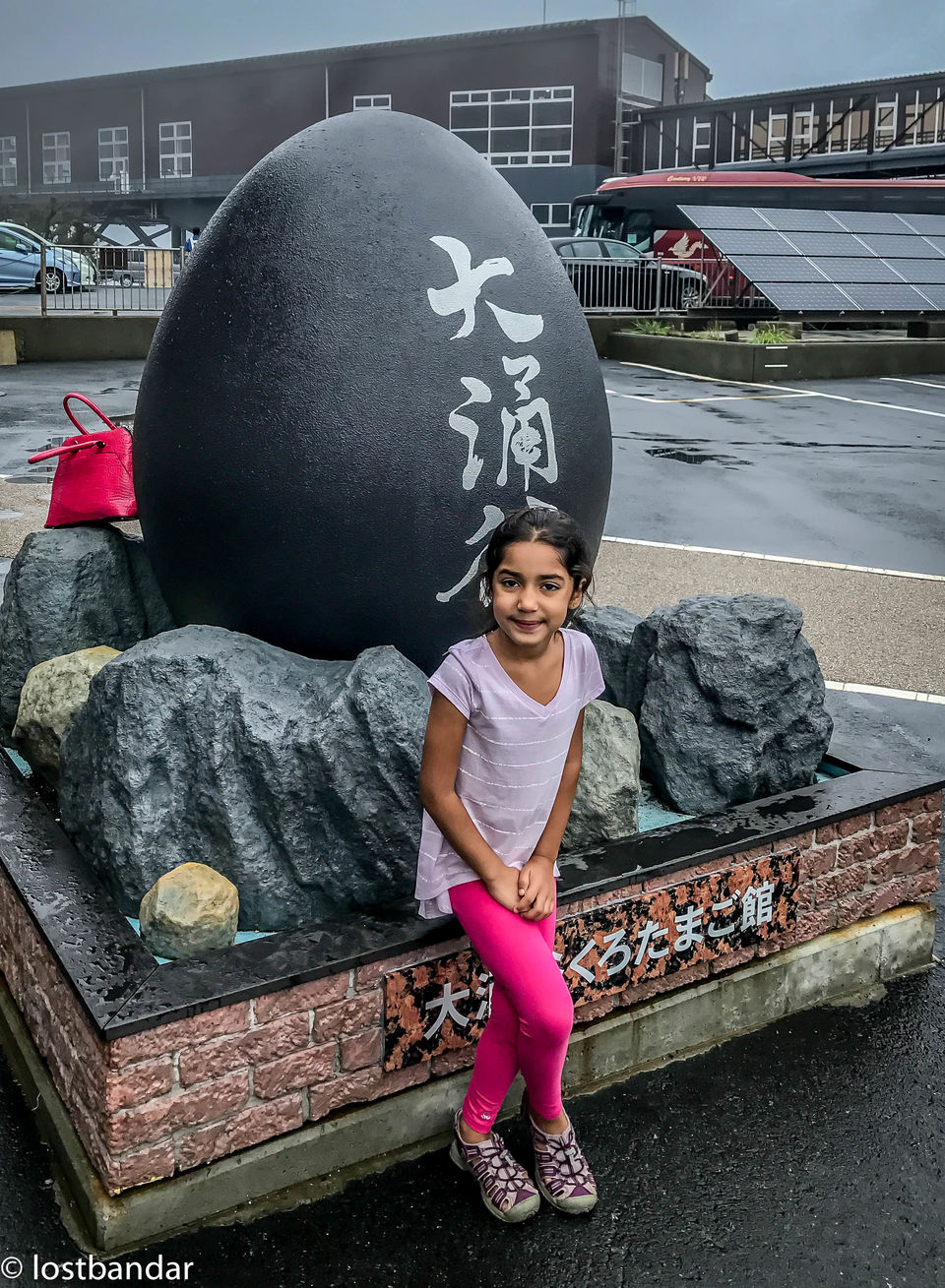 Photo of Japan- Complete Guide to Hakone visit from Tokyo - Hakone Free Day Pass by Rohit Manchanda