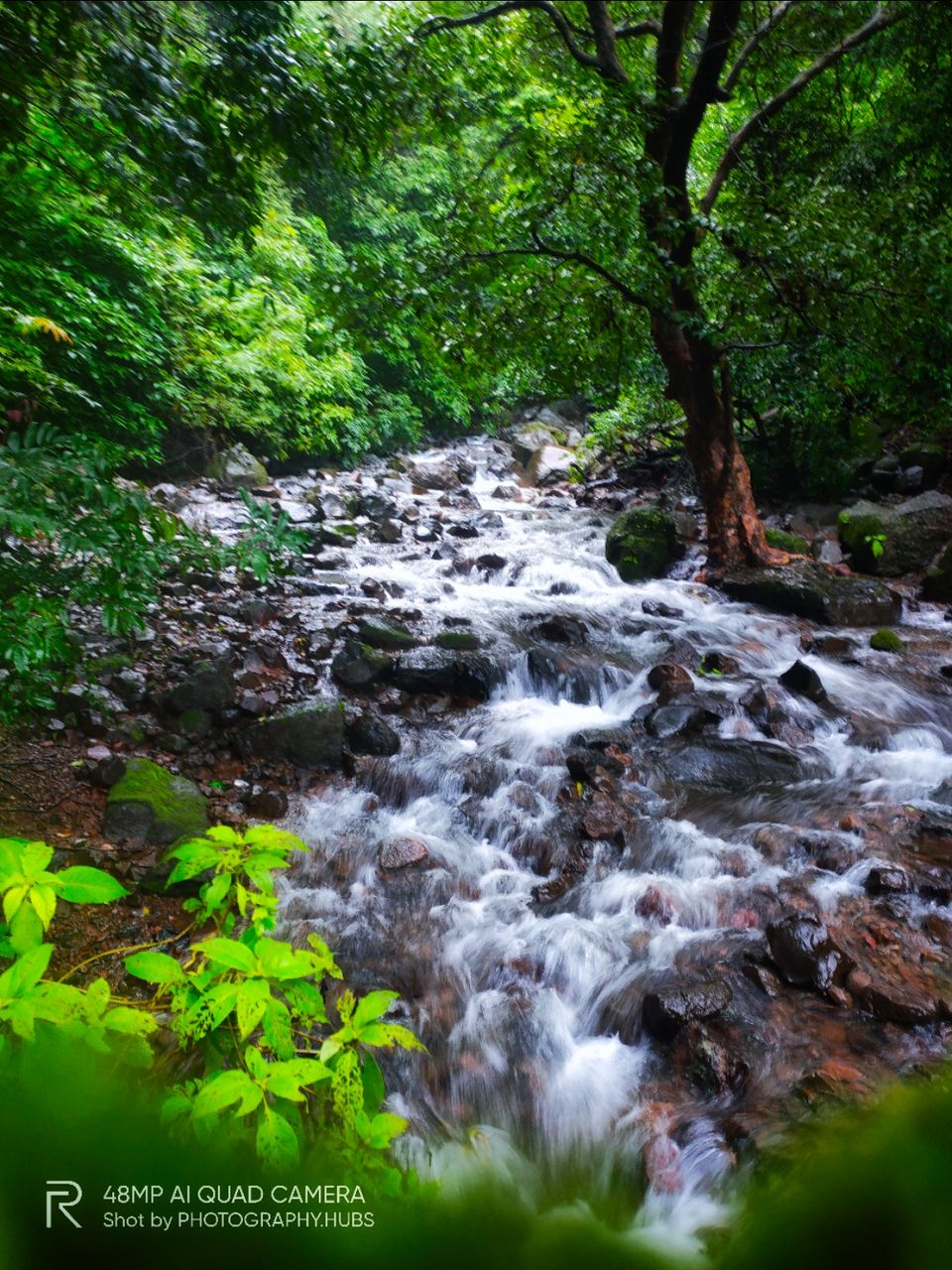 Photo of Lonavala by TRAVELO GRAPHER
