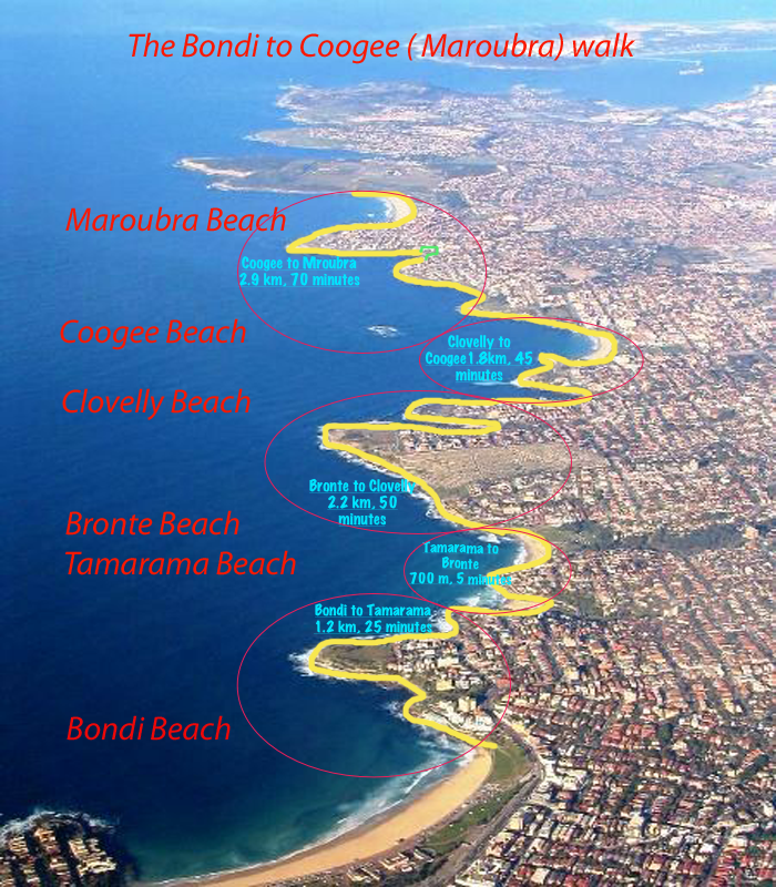 Photo of A Walk to Remember: Bondi to Coogee Beach 7/9 by Mahuya Paul