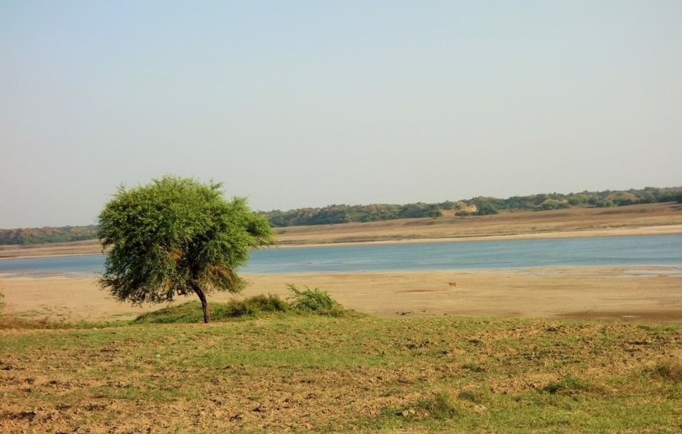 Photo of आइए चलें बीहड़ों के बीच चंबल नदी में नौका विहार पर An evening in River Chambal ! by Abhinendra Tomar