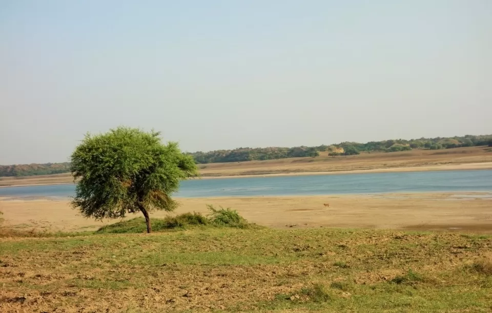 Photo of आइए चलें बीहड़ों के बीच चंबल नदी में नौका विहार पर An evening in River Chambal ! by Abhinendra Tomar