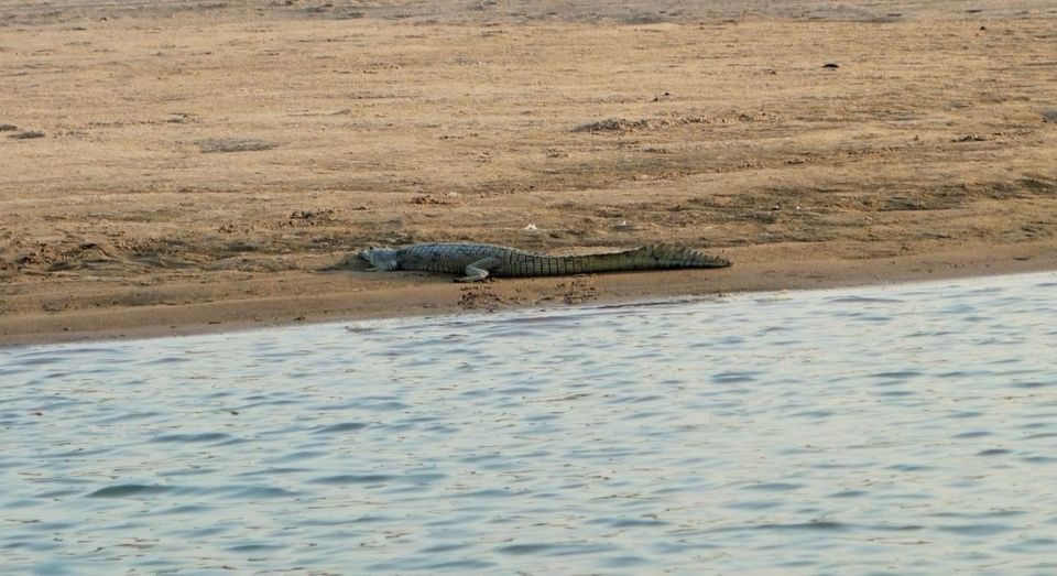 Photo of आइए चलें बीहड़ों के बीच चंबल नदी में नौका विहार पर An evening in River Chambal ! by Abhinendra Tomar