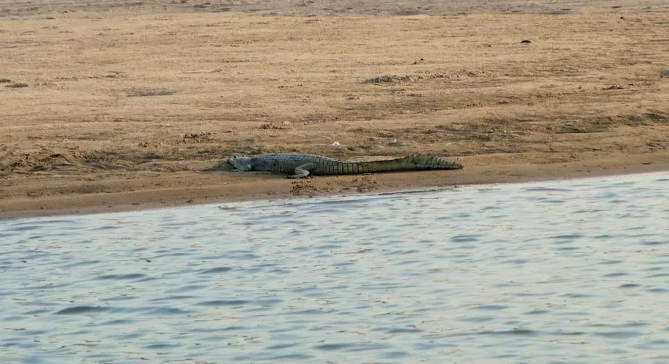 Photo of आइए चलें बीहड़ों के बीच चंबल नदी में नौका विहार पर An evening in River Chambal ! by Abhinendra Tomar