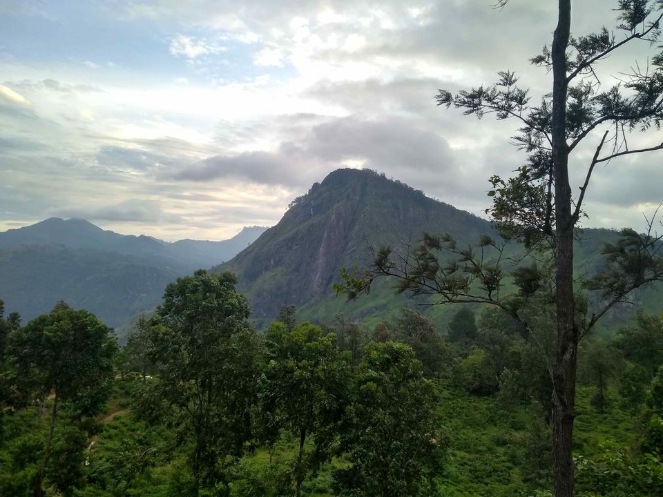 Photo of Budget trip to Srilanka from India – A detailed itinerary by Shweta Choudhary