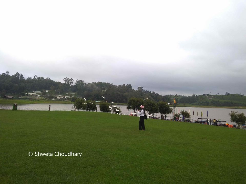 Photo of Budget trip to Srilanka from India – A detailed itinerary by Shweta Choudhary