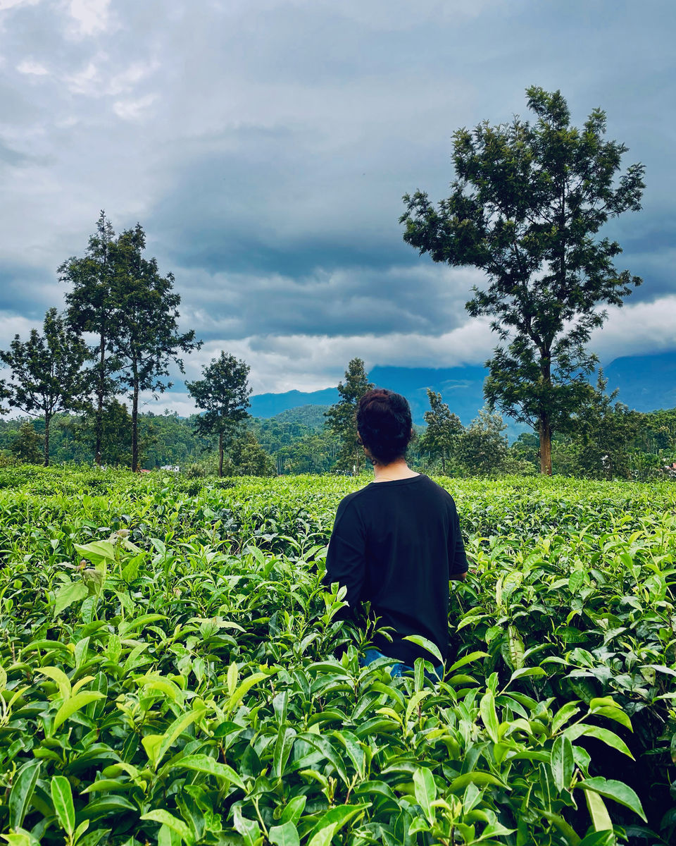Photo of A trip to My Hometown Wayanad 1/5 by Aswathy M.S
