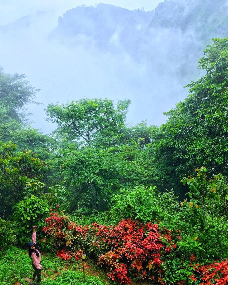 Photo of A trip to My Hometown Wayanad 3/5 by Aswathy M.S