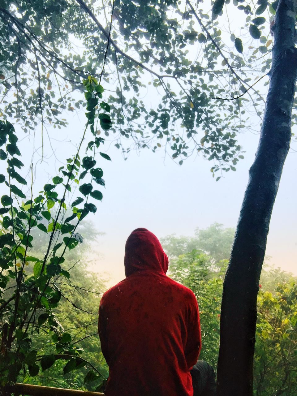 Photo of A trip to My Hometown Wayanad 5/5 by Aswathy M.S