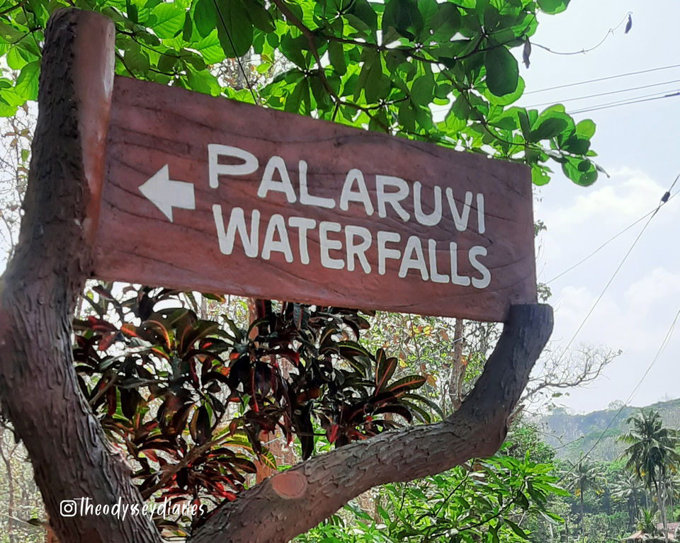 Photo of Palaruvi Waterfalls, Road to Palaruvi Waterfalls, Palaruvi, Kerala, India by The Odyssey Diaries