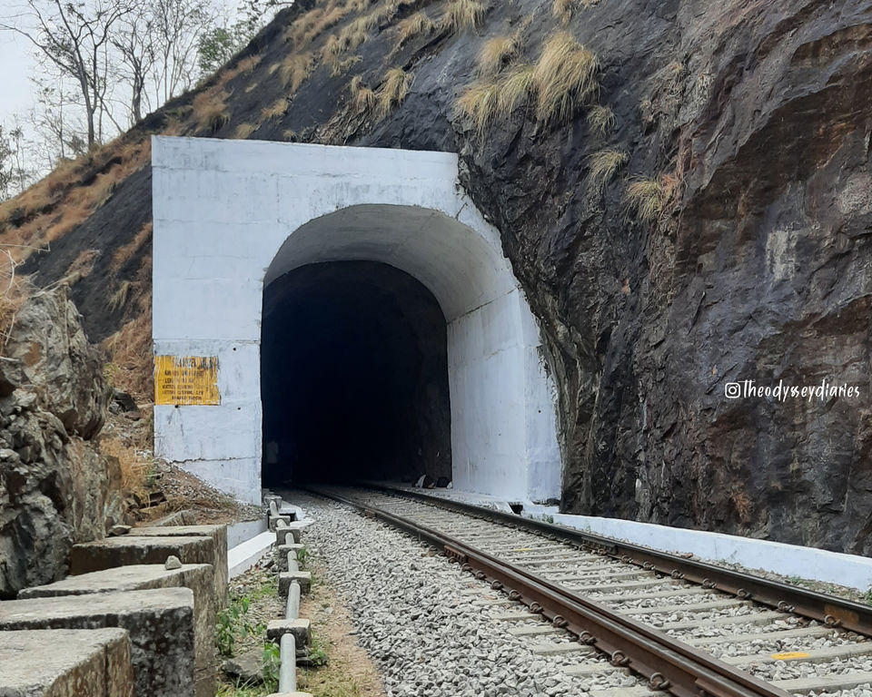 Photo of A THENMALA Trip by The Odyssey Diaries
