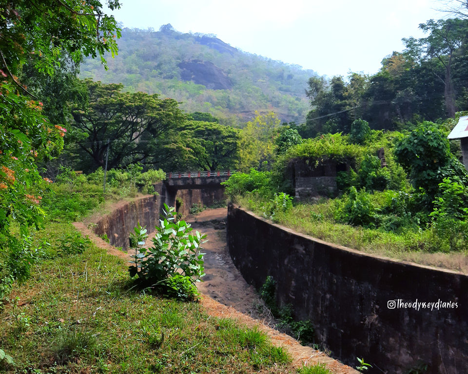Photo of A THENMALA Trip by The Odyssey Diaries