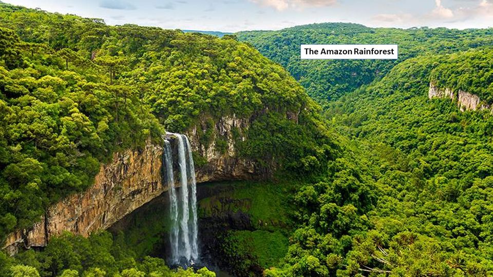 Photo of Know Top Five Most Beautiful Forests By Alex Ariana | Alex Arrash Ariana 3/5 by Alex Ariana