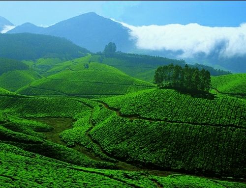 Photo of Bangladesh, Sylhet Tourist Places by Jahid Rahman