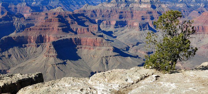 Photo of The Grand Canyon, Arizona 5/17 by Jahid Rahman