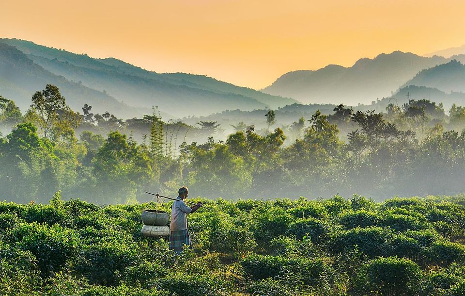 Bangladesh, Sylhet Tourist Places - Tripoto