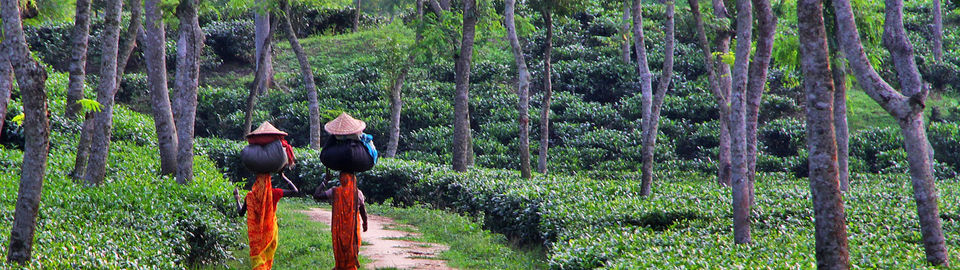 Photo of Bangladesh, Sylhet Tourist Places 4/6 by Jahid Rahman