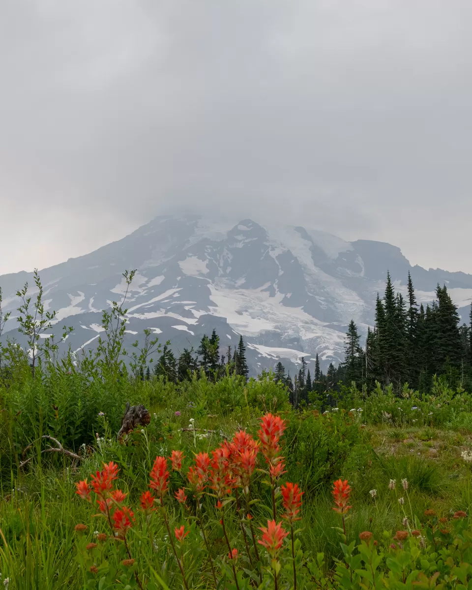 Photo of Mount Rainier, Washington, USA by Abhik Manna